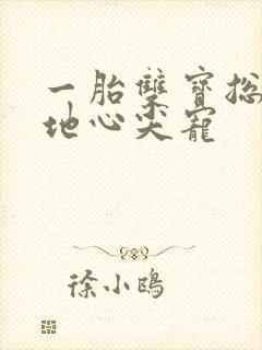 一胎双宝总裁爹地心尖宠