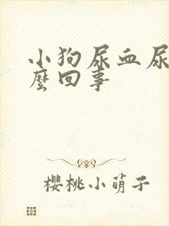 小狗尿血尿是怎么回事