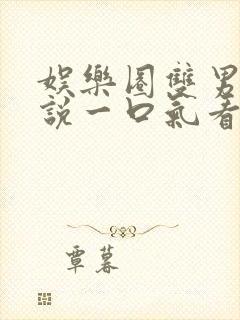 娱乐圈双男主小说一口气看完