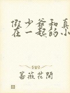 假少爷和真少爷在一起的小说