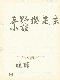春野樱是主角的小说