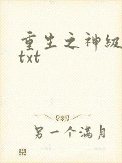 重生之神级兵王txt