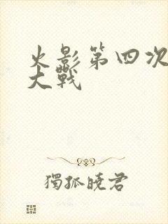 火影第四次忍界大战