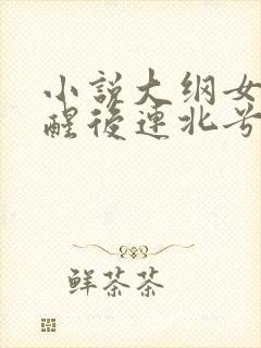 小说大纲女主觉醒后连北兮