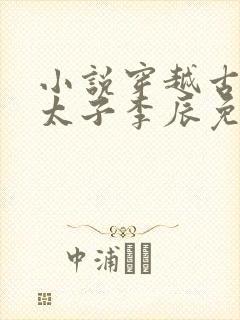 小说穿越古代当太子李辰免费阅读