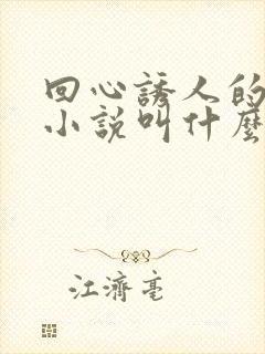 回心诱人的原著小说叫什么