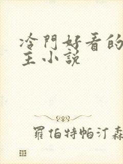 冷门好看的双男主小说