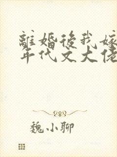离婚后我嫁给了年代文大佬