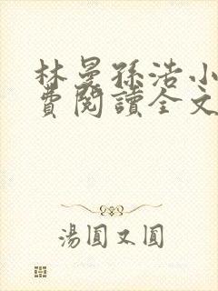 林曼孙浩小说免费阅读全文最新章节