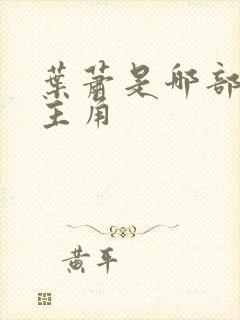 叶萧是哪部小说主角