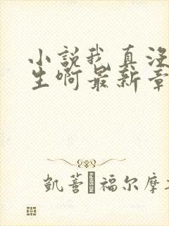 小说我真没想重生啊最新章节