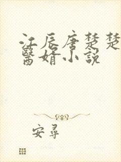 江辰唐楚楚龙王医婿小说