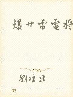 爆艹雷电将军