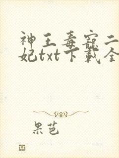 神王毒宠二嫁王妃txt下载全本