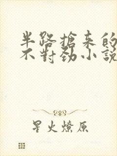 半路抢来的夫君不对劲小说免费阅读