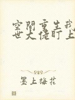 空间重生我被末世大佬盯上小说