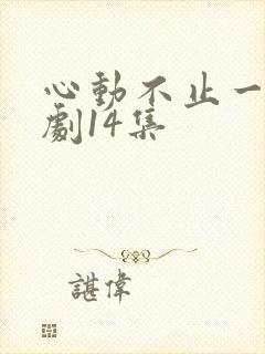 心动不止一刻短剧14集