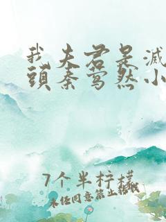 我夫君是灭世魔头秦莺然小说全文