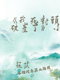 《我死对头终于破产了》 小说