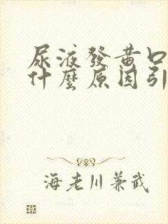 尿液发黄口臭是什么原因引起的