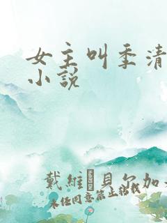 女主叫季清欢的小说
