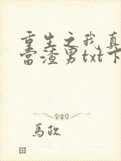 重生之我真没想当渣男txt下载