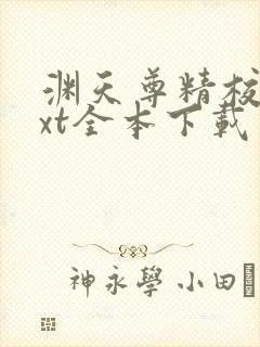 渊天尊精校版txt全本下载