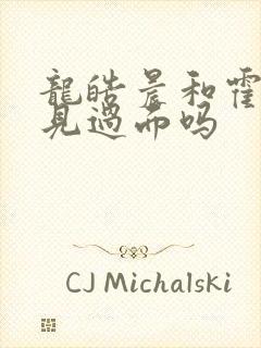 龙皓晨和霍雨浩见过面吗