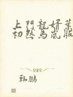 上门龙婿叶辰萧初然马岚版