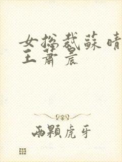 女总裁苏晴与兵王萧晨