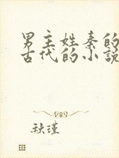 男主姓秦的穿越古代的小说
