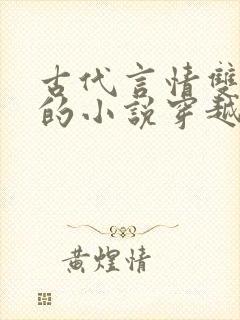 古代言情双男主的小说穿越