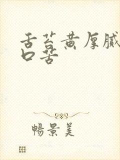 舌苔黄厚腻口干口苦