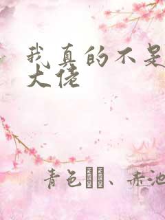 我真的不是反派大佬