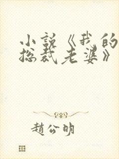 小说《我的冰山总裁老婆》