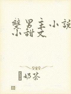 双男主小说推荐小甜文