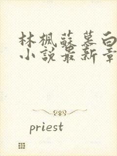 林枫苏慕白穿越小说最新章节