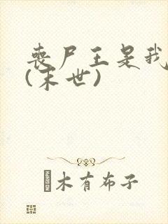 丧尸王是我男友(末世)