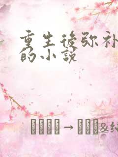 重生后弥补男主的小说