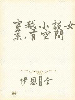 穿越小说女主姓叶,有空间