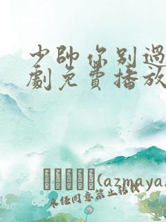 少帅你别过分短剧免费播放在线观看