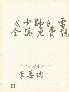 《少帅》电视剧全集免费观看高清