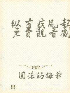 纵有疾风起全集免费观看剧情介绍