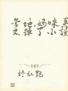 爹地,妈咪马甲又掉了小说免费阅读