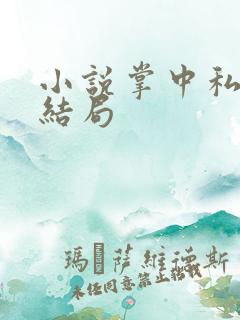 小说掌中私宠大结局