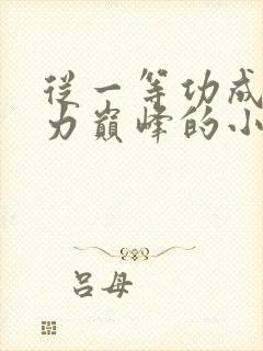 从一等功成到权力巅峰的小说