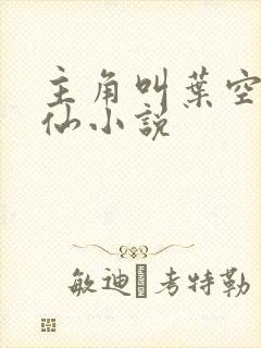 主角叫叶空的修仙小说