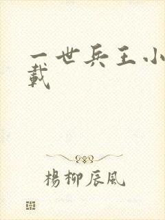 一世兵王小说下载