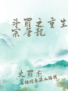 斗罗之重生昊天宗唐龙