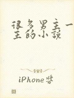 很多男主一个女主的小说